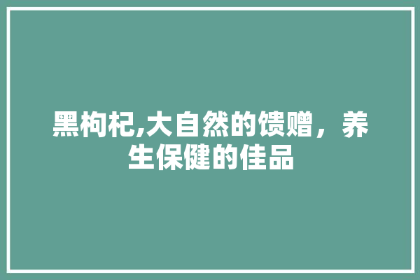 黑枸杞,大自然的馈赠，养生保健的佳品
