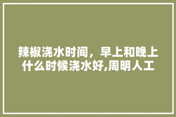 辣椒浇水时间，早上和晚上什么时候浇水好,周明人工智能