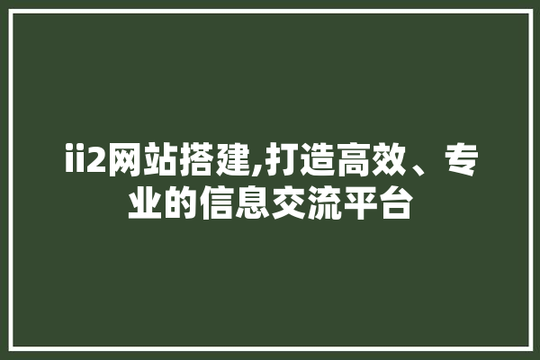 ii2网站搭建,打造高效、专业的信息交流平台 智能问答