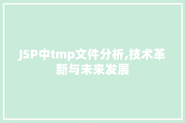 JSP中tmp文件分析,技术革新与未来发展