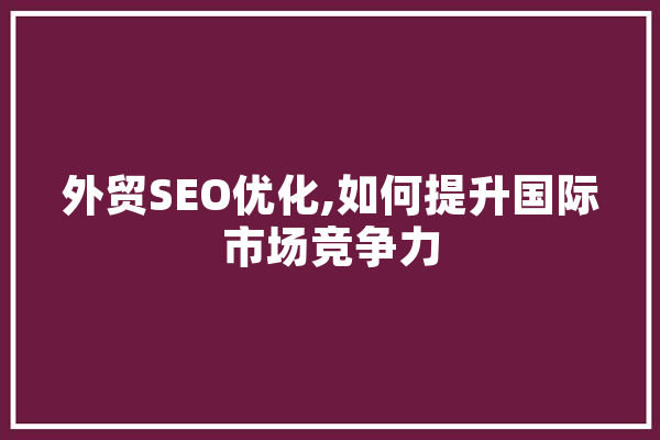 外贸SEO优化,如何提升国际市场竞争力 云服务