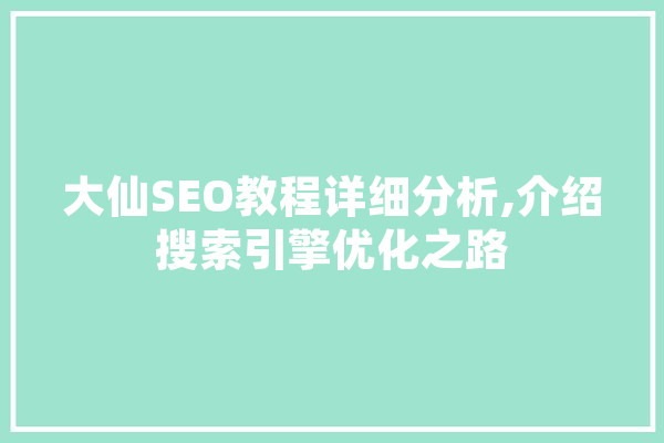 大仙SEO教程详细分析,介绍搜索引擎优化之路