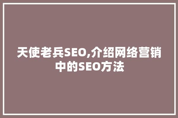 天使老兵SEO,介绍网络营销中的SEO方法 绘影字幕