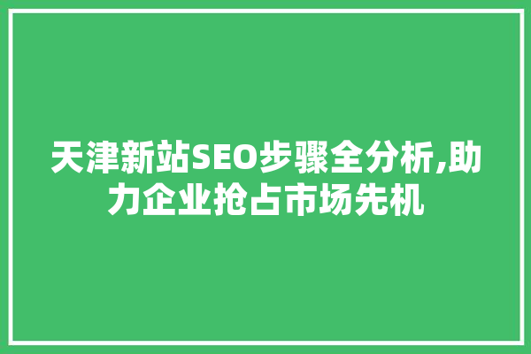 天津新站SEO步骤全分析,助力企业抢占市场先机 云服务