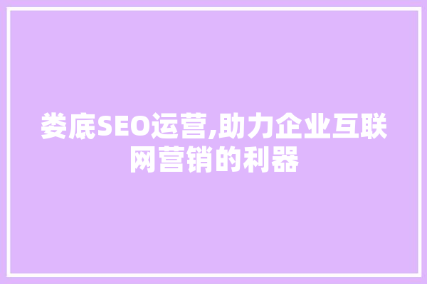 娄底SEO运营,助力企业互联网营销的利器 计算机
