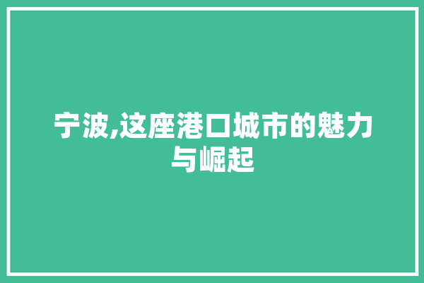 宁波,这座港口城市的魅力与崛起