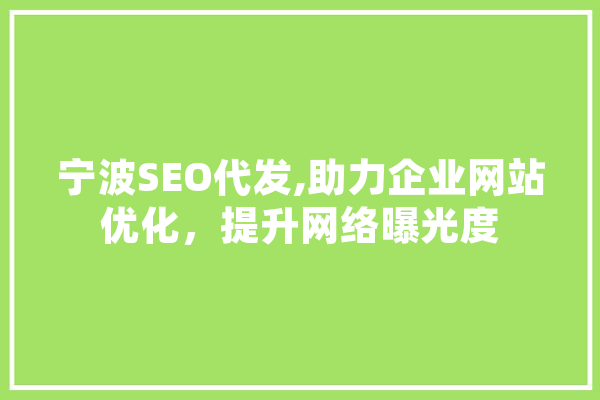 宁波SEO代发,助力企业网站优化，提升网络曝光度