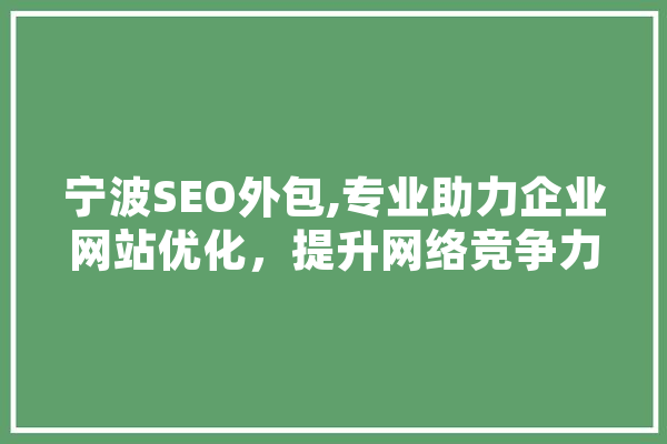 宁波SEO外包,专业助力企业网站优化，提升网络竞争力