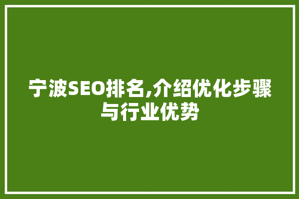 宁波SEO排名,介绍优化步骤与行业优势 云服务