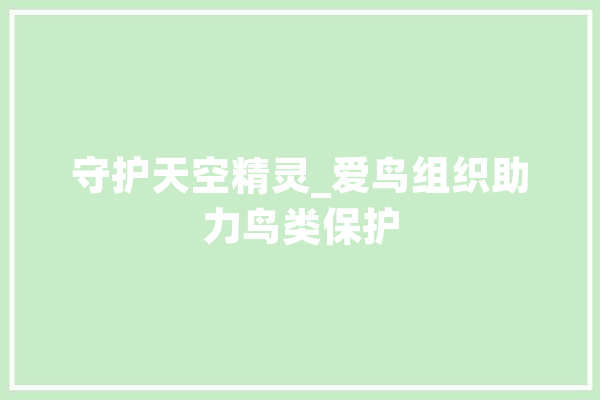 守护天空精灵_爱鸟组织助力鸟类保护