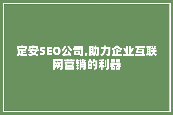 定安SEO公司,助力企业互联网营销的利器 智能助手