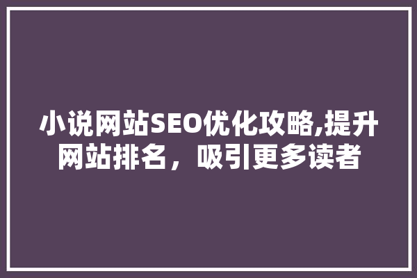 小说网站SEO优化攻略,提升网站排名，吸引更多读者 计算机