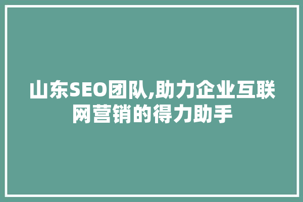 山东SEO团队,助力企业互联网营销的得力助手 云服务