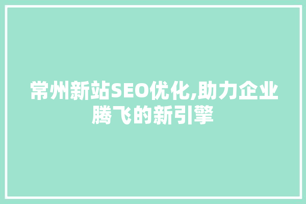 常州新站SEO优化,助力企业腾飞的新引擎 智能助手