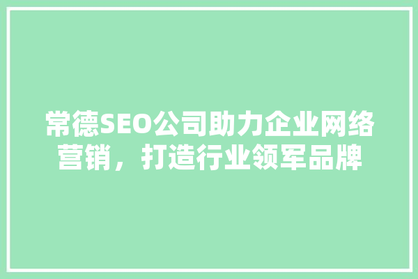 常德SEO公司助力企业网络营销，打造行业领军品牌