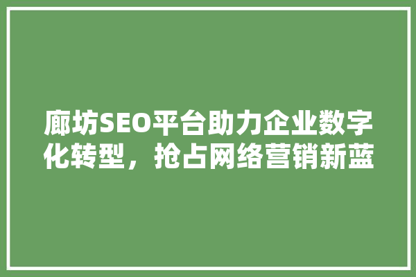 廊坊SEO平台助力企业数字化转型，抢占网络营销新蓝海 云服务