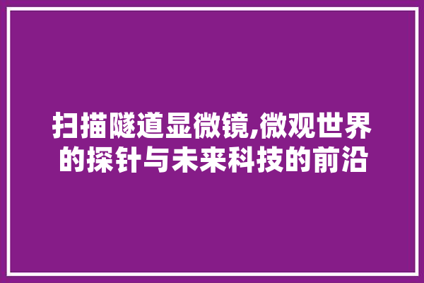 扫描隧道显微镜,微观世界的探针与未来科技的前沿