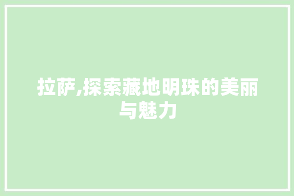 拉萨,探索藏地明珠的美丽与魅力