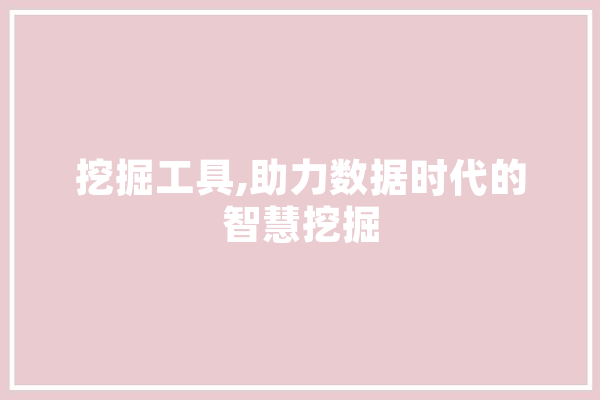 挖掘工具,助力数据时代的智慧挖掘 云服务