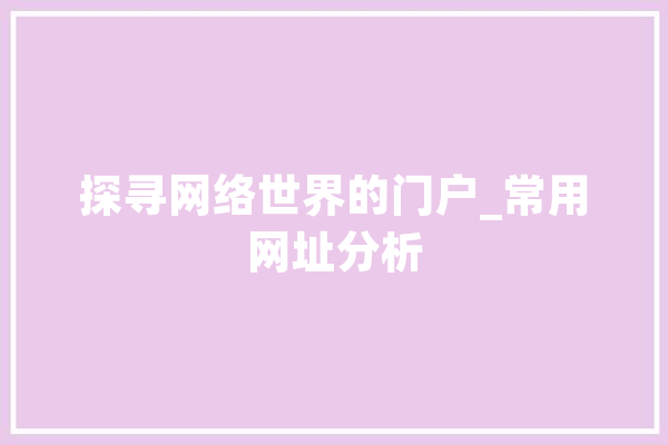 探寻网络世界的门户_常用网址分析