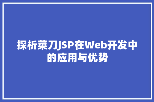 探析菜刀JSP在Web开发中的应用与优势