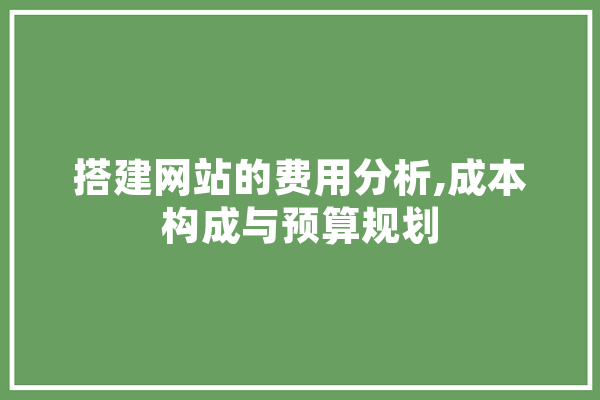 搭建网站的费用分析,成本构成与预算规划 智能写作