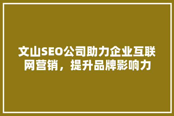 文山SEO公司助力企业互联网营销，提升品牌影响力 绘影字幕