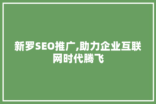 新罗SEO推广,助力企业互联网时代腾飞 文字写作