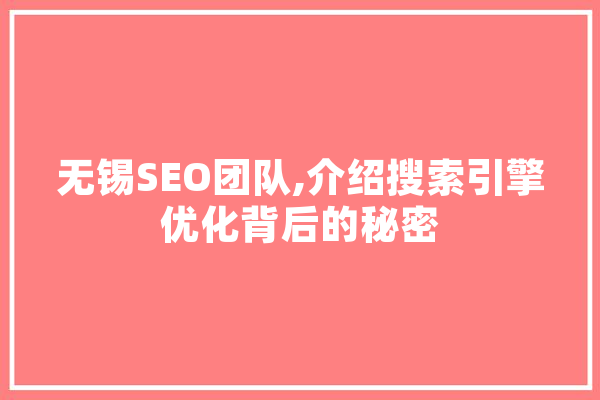 无锡SEO团队,介绍搜索引擎优化背后的秘密 绘影字幕