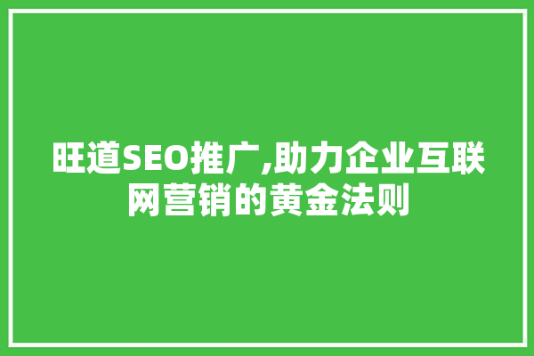 旺道SEO推广,助力企业互联网营销的黄金法则 计算机