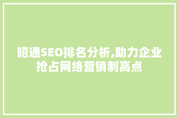 昭通SEO排名分析,助力企业抢占网络营销制高点