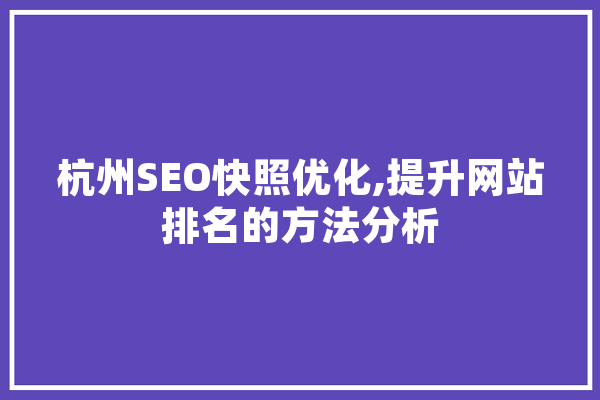 杭州SEO快照优化,提升网站排名的方法分析