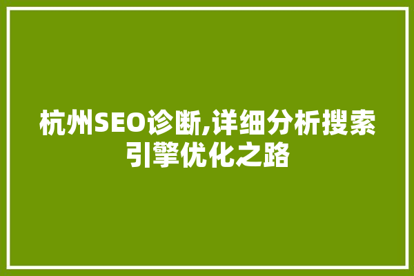 杭州SEO诊断,详细分析搜索引擎优化之路
