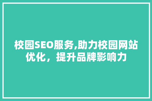 校园SEO服务,助力校园网站优化，提升品牌影响力