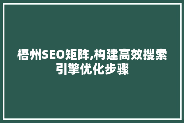 梧州SEO矩阵,构建高效搜索引擎优化步骤