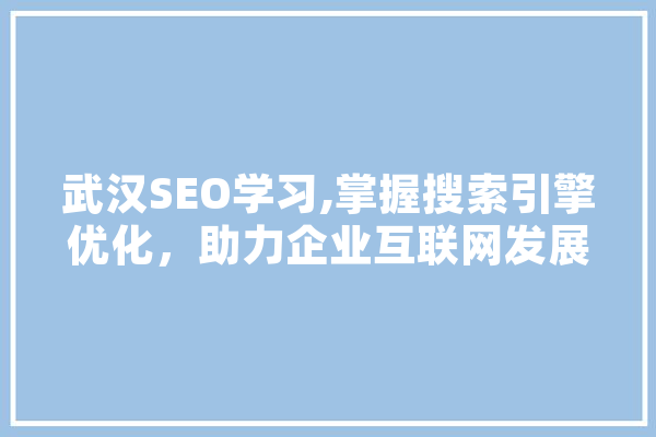 武汉SEO学习,掌握搜索引擎优化，助力企业互联网发展 计算机