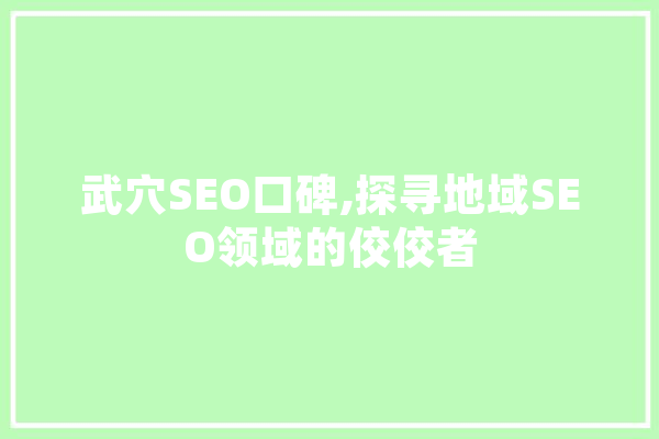 武穴SEO口碑,探寻地域SEO领域的佼佼者