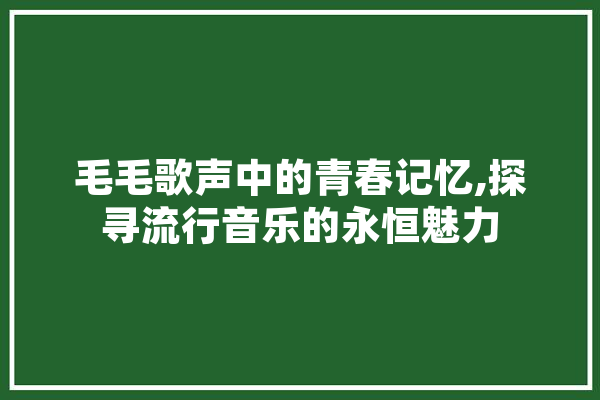 毛毛歌声中的青春记忆,探寻流行音乐的永恒魅力 云服务