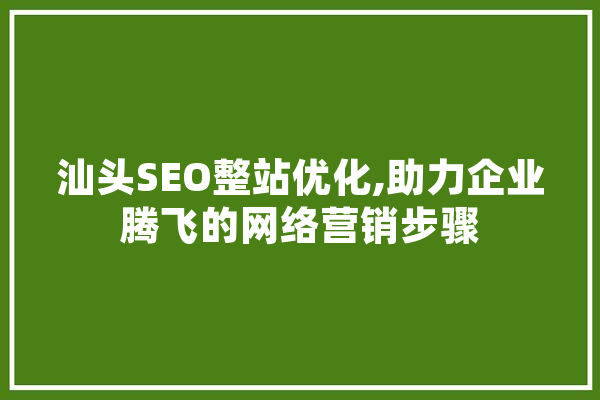 汕头SEO整站优化,助力企业腾飞的网络营销步骤 绘影字幕