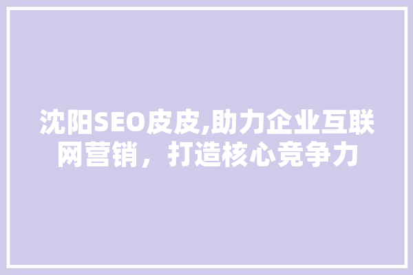 沈阳SEO皮皮,助力企业互联网营销，打造核心竞争力 绘影字幕