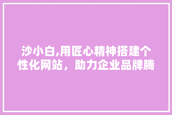 沙小白,用匠心精神搭建个性化网站，助力企业品牌腾飞