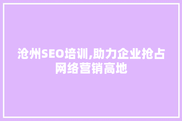 沧州SEO培训,助力企业抢占网络营销高地