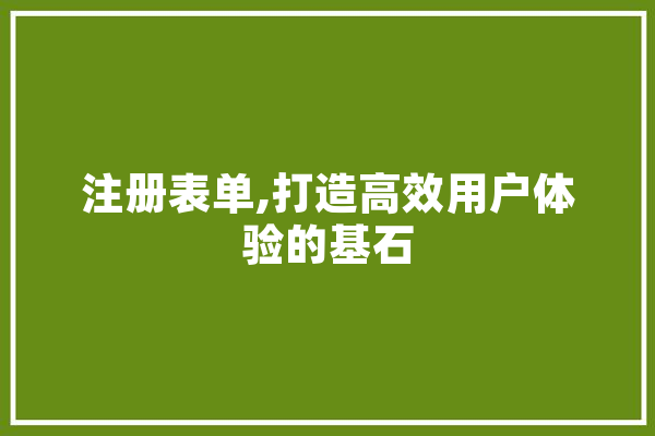 注册表单,打造高效用户体验的基石