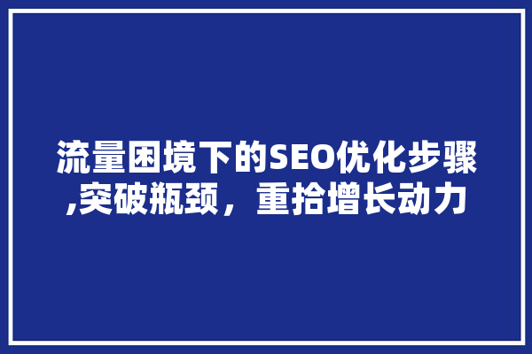 流量困境下的SEO优化步骤,突破瓶颈，重拾增长动力 绘影字幕