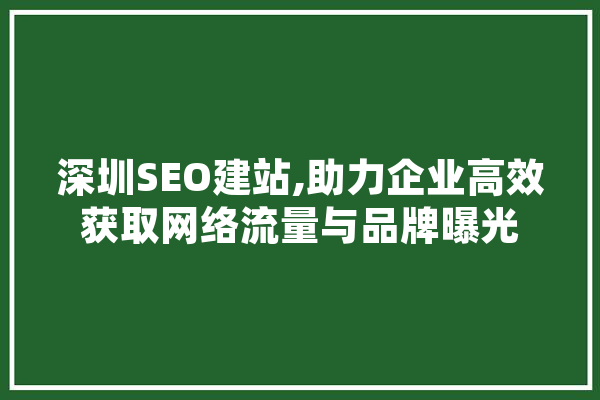 深圳SEO建站,助力企业高效获取网络流量与品牌曝光 AI简讯