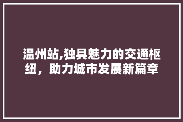 温州站,独具魅力的交通枢纽，助力城市发展新篇章 云服务