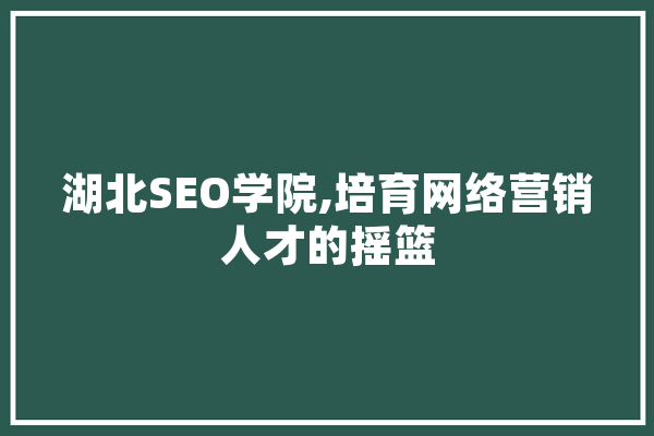 湖北SEO学院,培育网络营销人才的摇篮