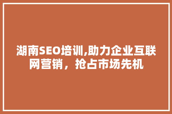 湖南SEO培训,助力企业互联网营销，抢占市场先机