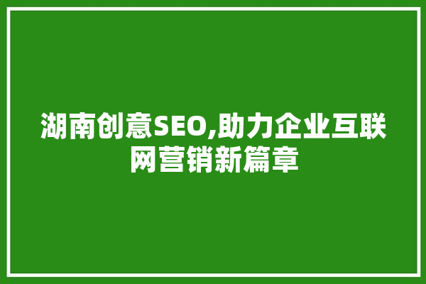 湖南创意SEO,助力企业互联网营销新篇章 文字写作