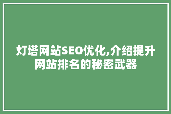 灯塔网站SEO优化,介绍提升网站排名的秘密武器 文字写作